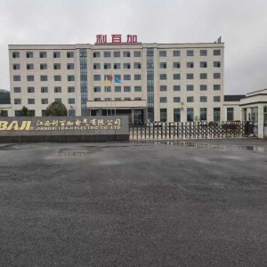 江西利百加电气有限公司